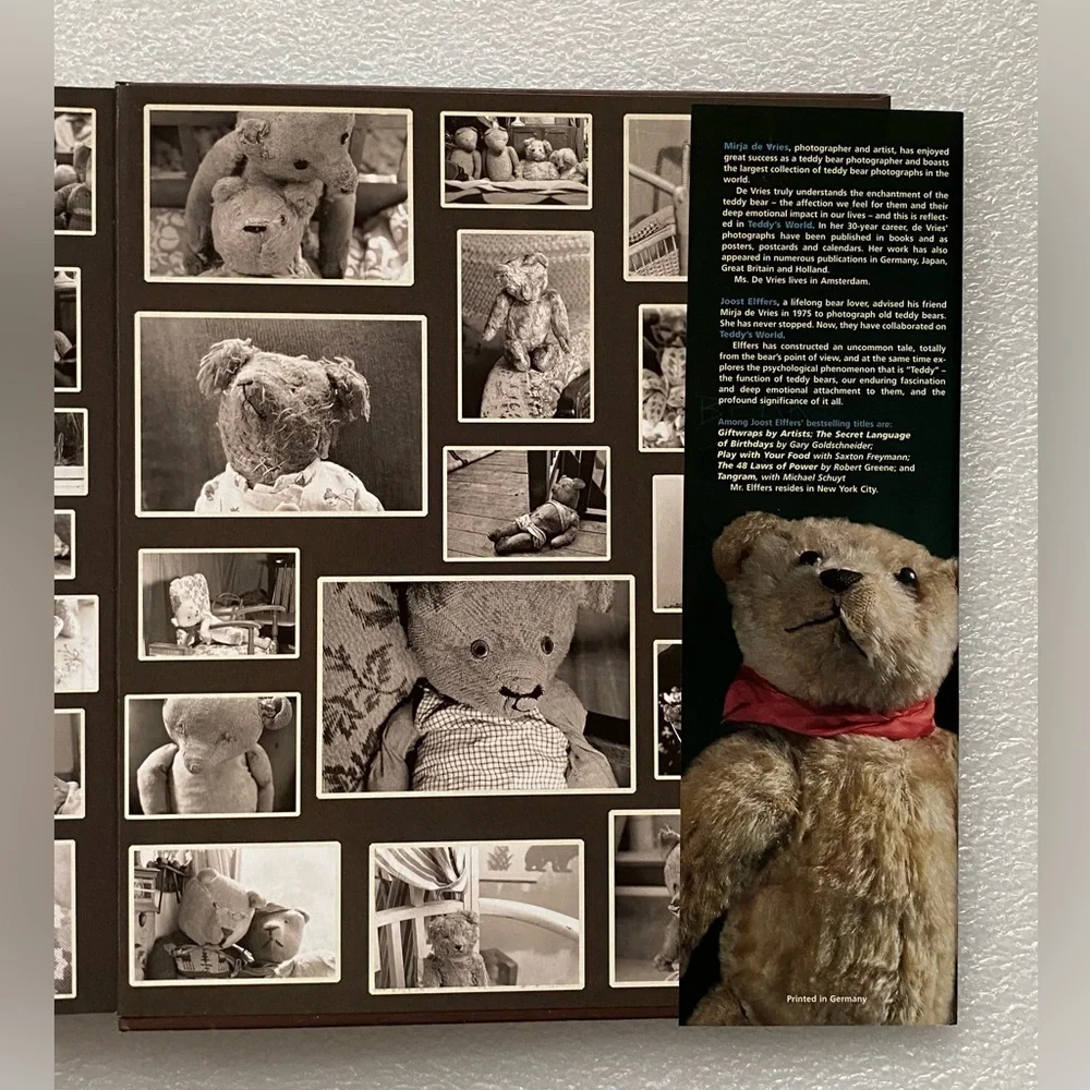 Teddy's World Large Book by Joost Elffers and Mirja de Vries (2002 Hardcover)